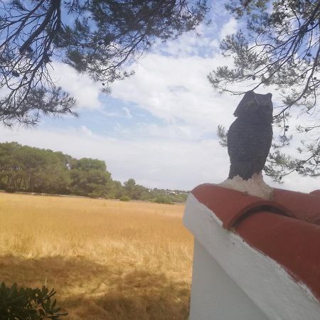 Es Pins Apartment Cala Blanca  Luaran gambar