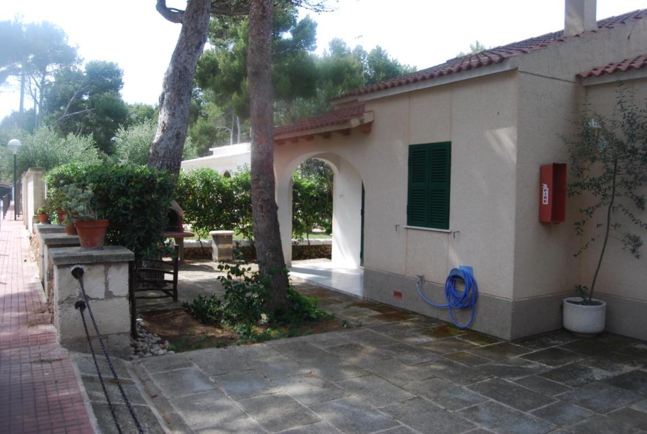 Es Pins Apartment Cala Blanca  Bilik gambar